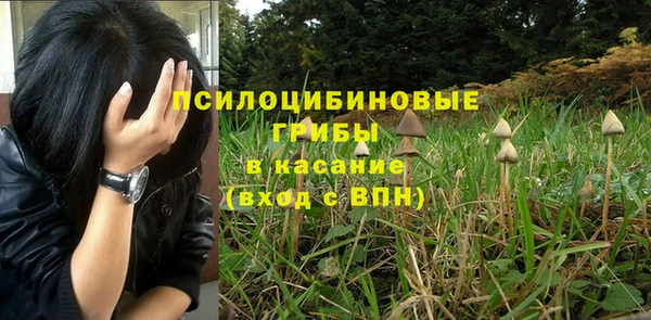 прущая мука Алексин