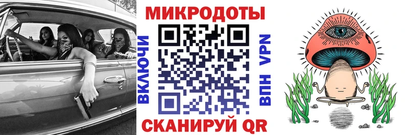 Галлюциногенные грибы Psilocybe Пущино